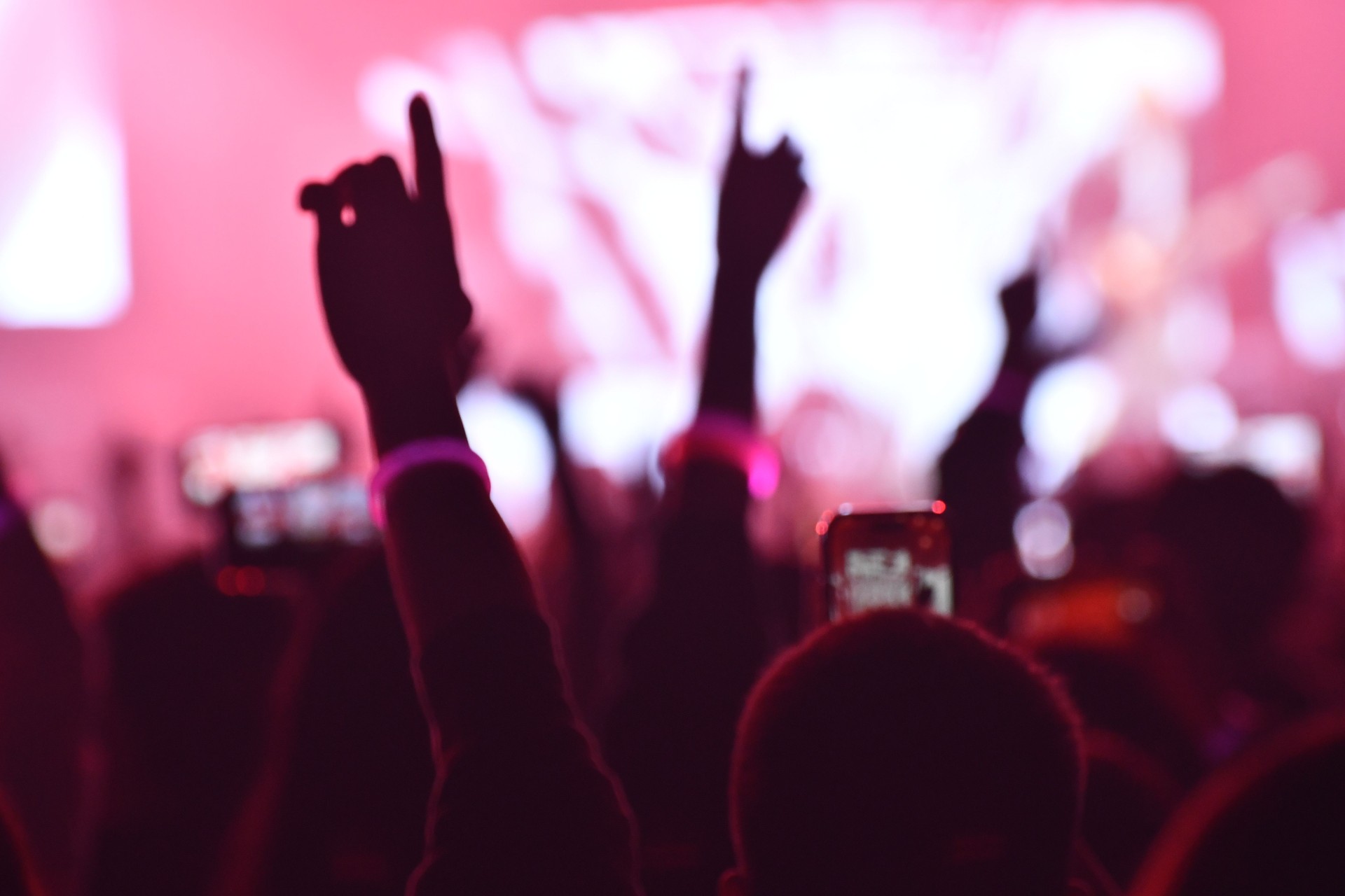 Crazy audience crowd at a popular music concert